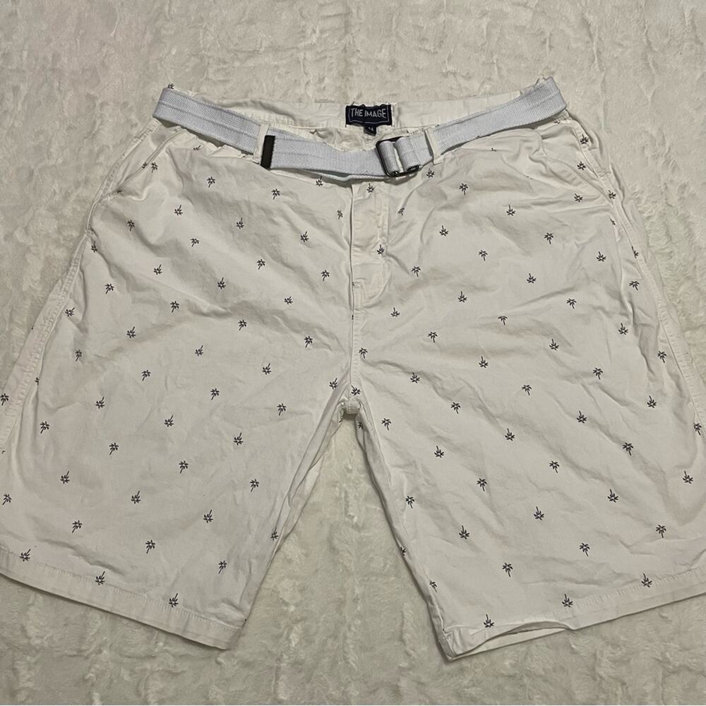 The Image Chino Shorts